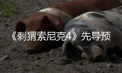 磅新先导袭来重空降猬索尼克预告刺角色强势