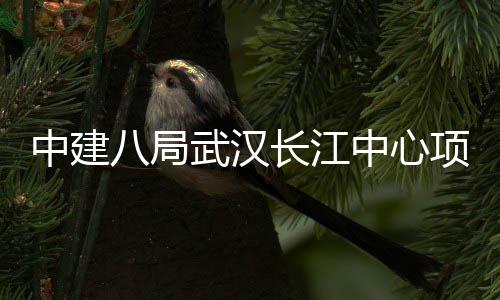 八局项目中建中心大会武汉长江举行千人誓师