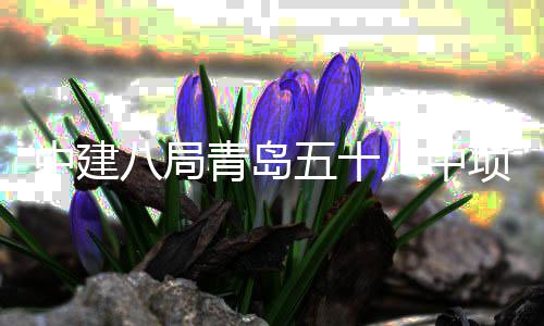 八局八中项目中建主体五十封顶青岛全部