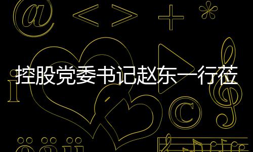 赵东指导党委工作控股环境莅临一行书记