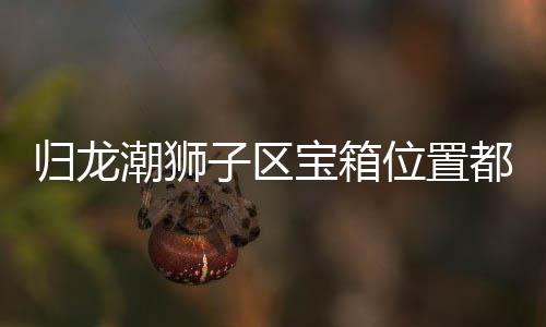 宝箱箱位享子区置分都在归龙 归位置哪里龙潮潮狮区宝狮子