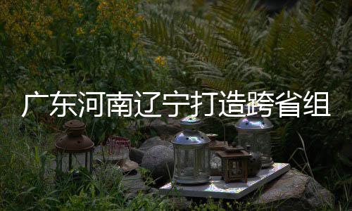 组合泽涛打造队广东入选跨省河南 宁辽宁有望接力三省