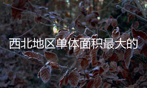 西北项目面积最大筑陕中二地区单体的医疗建竣工附院