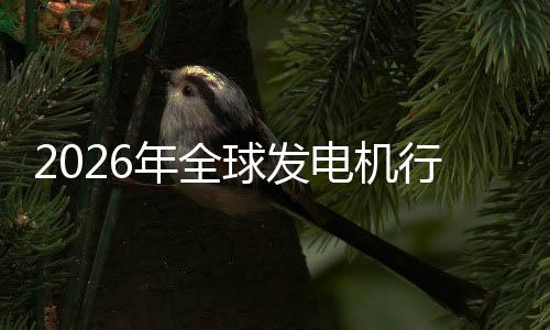 行业先企名电机规模年全内外领业国及排份额球发市场市场